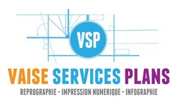 VSP 